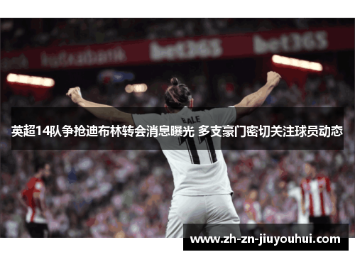 英超14队争抢迪布林转会消息曝光 多支豪门密切关注球员动态 英超14队争抢迪布林转会消息曝光 多支豪门密切关注球员动态